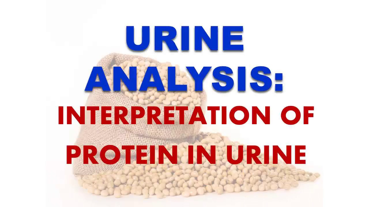 You are currently viewing URINE ANALYSIS: Presence of PROTEIN in urine