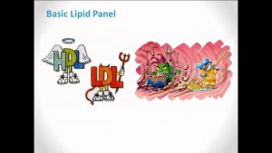 WellnessFX Biomarkers Series: The Lipid Panel