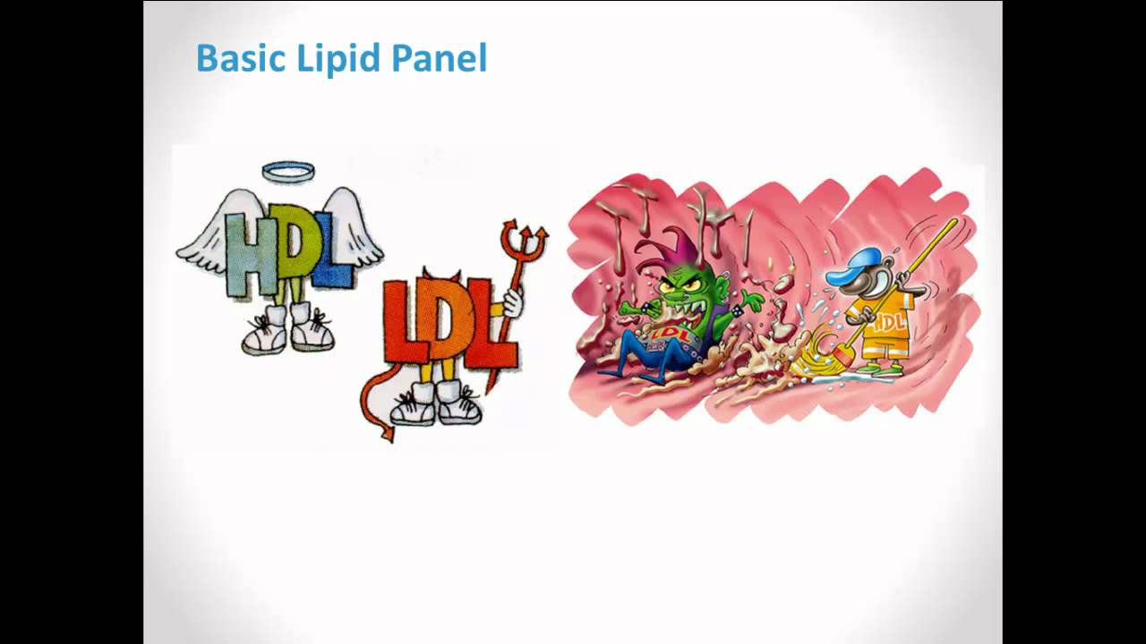 You are currently viewing WellnessFX Biomarkers Series: The Lipid Panel