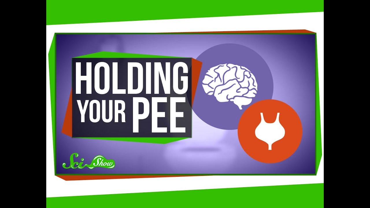 You are currently viewing What Happens When You Hold Your Pee?