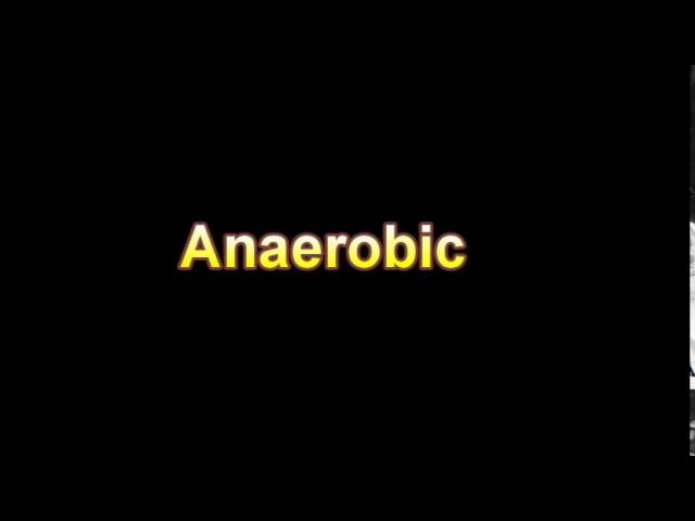 You are currently viewing What Is The Definition Of Anaerobic Medical Dictionary Free Online