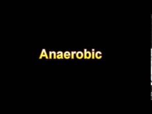 Read more about the article What Is The Definition Of Anaerobic Medical Dictionary Free Online
