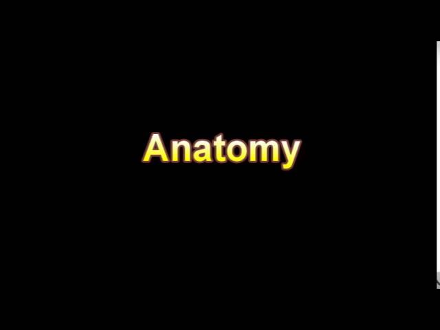 You are currently viewing What Is The Definition Of Anatomy Medical Dictionary Free Online