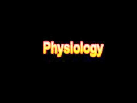 You are currently viewing What Is The Definition Of Physiology Medical School Terminology Dictionary