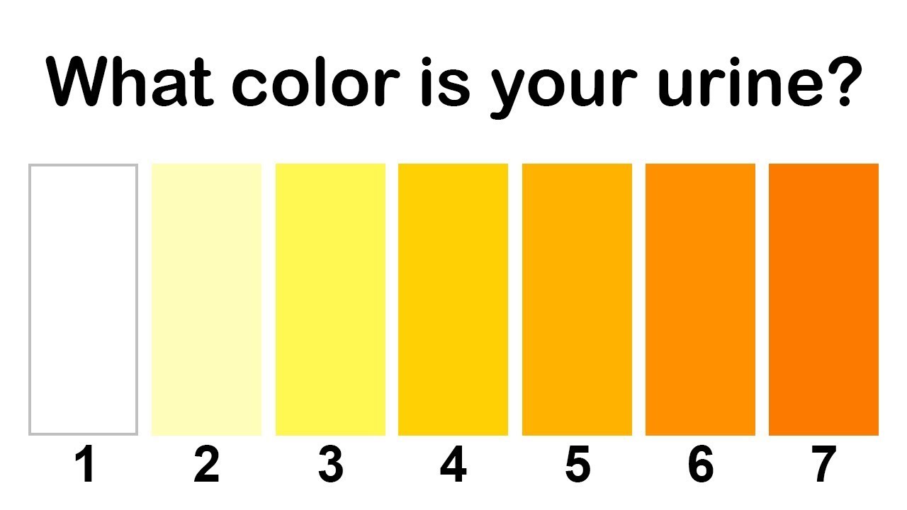 You are currently viewing What The Color of Your Urine Says About Your Health