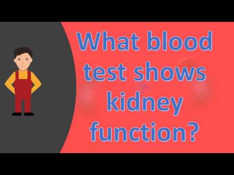 You are currently viewing What blood test shows kidney function ?