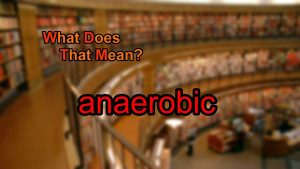 Read more about the article What does anaerobic mean?