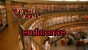 Read more about the article What does endurance mean?