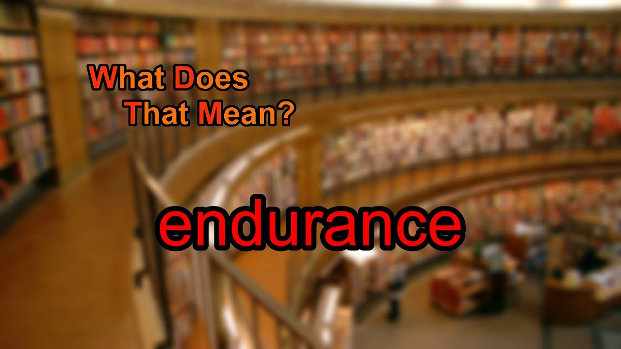 You are currently viewing What does endurance mean?