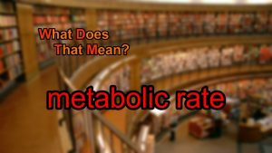Read more about the article What does metabolic rate mean?