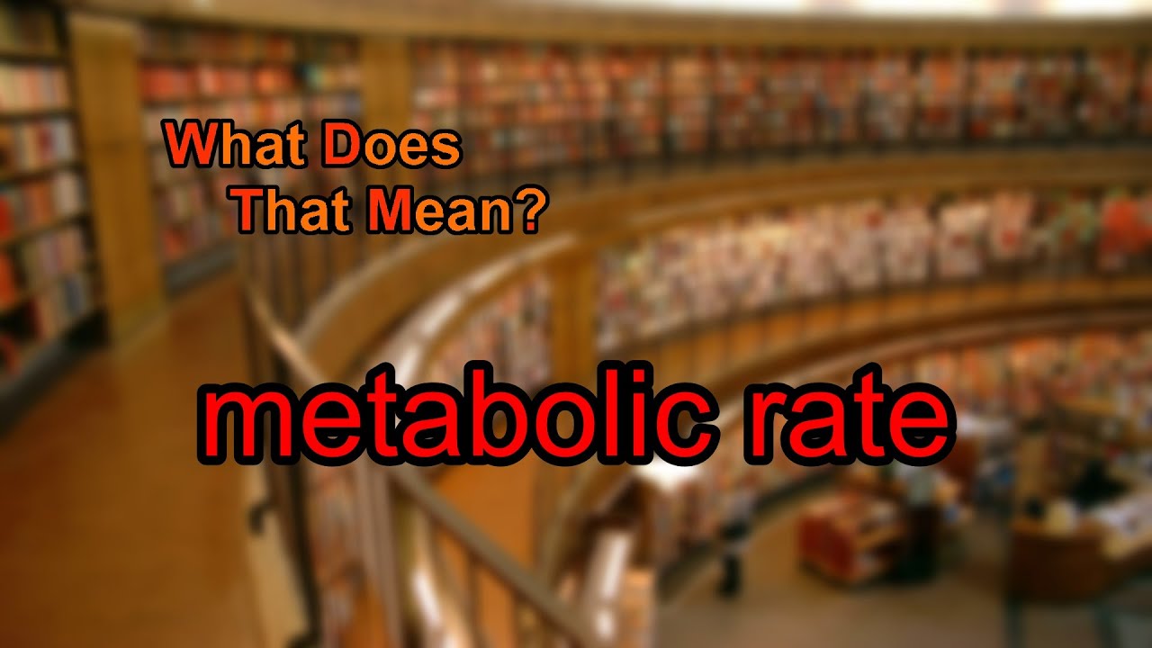 You are currently viewing What does metabolic rate mean?