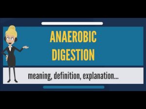 What is ANAEROBIC DIGESTION? What does ANAEROBIC DIGESTION mean? ANAEROBIC DIGESTION meaning