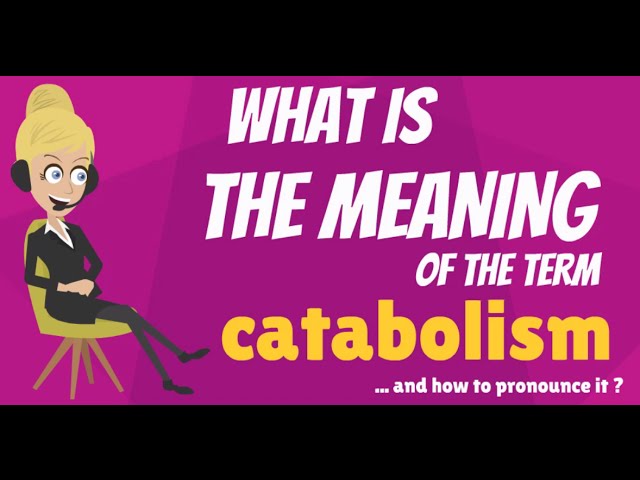 You are currently viewing What is CATABOLISM? What does CATABOLISM mean? CATABOLISM meaning & explanation