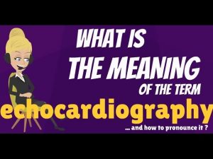 Read more about the article What is ECHOCARDIOGRAPHY? What does ECHOCARDIOGRAPHY mean? ECOCARDIOGRAPHY meaning