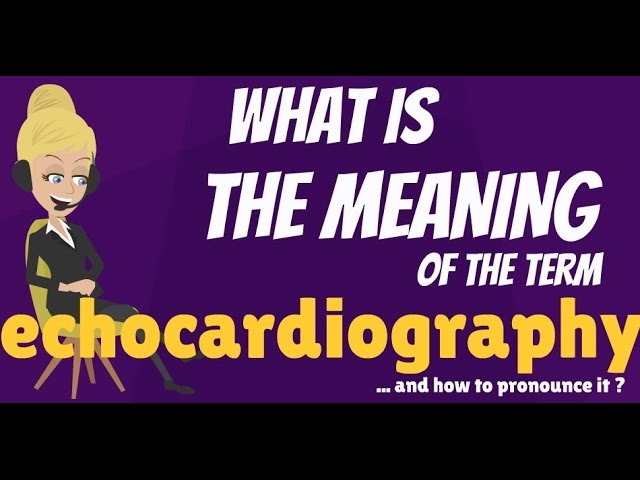 You are currently viewing What is ECHOCARDIOGRAPHY? What does ECHOCARDIOGRAPHY mean? ECOCARDIOGRAPHY meaning