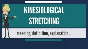 Read more about the article What is KINESIOLOGICAL STRETCHING? What doesa KINESIOLOGICAL STRETCHING mean?