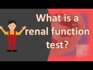 What is a renal function test ?