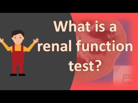 You are currently viewing What is a renal function test ?