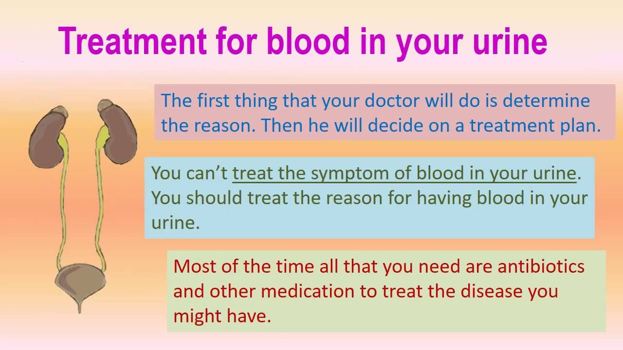 You are currently viewing What is the Cause for Blood in Urine – Hoool.com