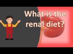 Read more about the article What is the renal diet ?