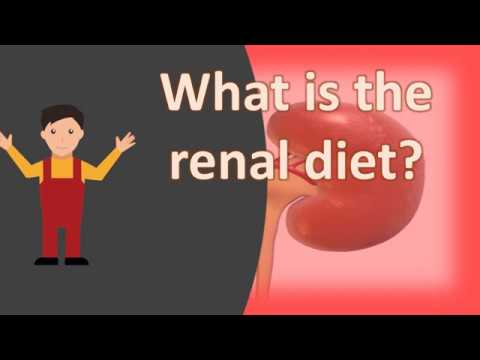 You are currently viewing What is the renal diet ?
