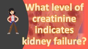 Read more about the article What level of creatinine indicates kidney failure ?