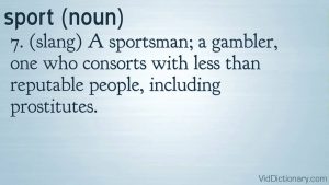 Read more about the article sport – definition