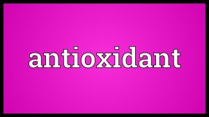 Antioxidant Meaning