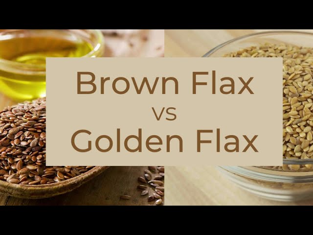 You are currently viewing Brown Flax vs Golden Flax Omega 3 & 6 Fatty Acids, Antioxidants