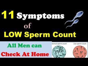 Check Low Sperm Count at Home / 11 Symptoms of Male Infertility