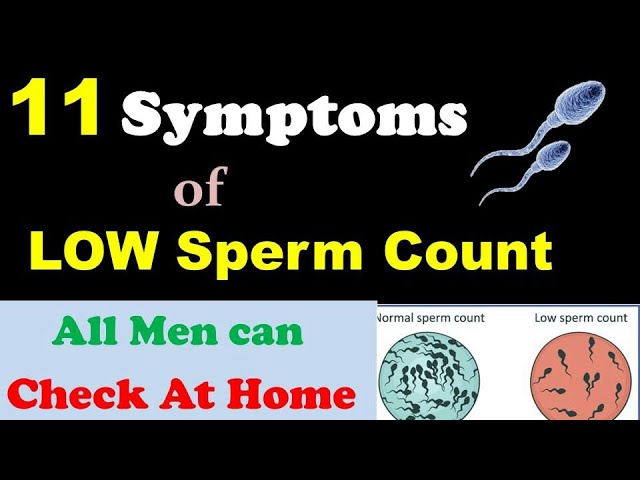 You are currently viewing Check Low Sperm Count at Home / 11 Symptoms of Male Infertility