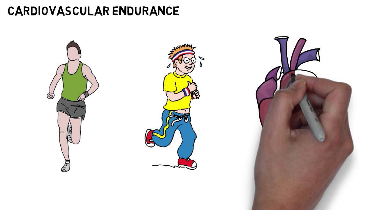 You are currently viewing Endurance and Stamina – GCSE Physical Education (PE) Revision