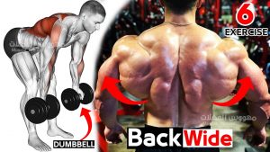 Read more about the article ? Exercise Back Workouts (Dumbbells Row Only)