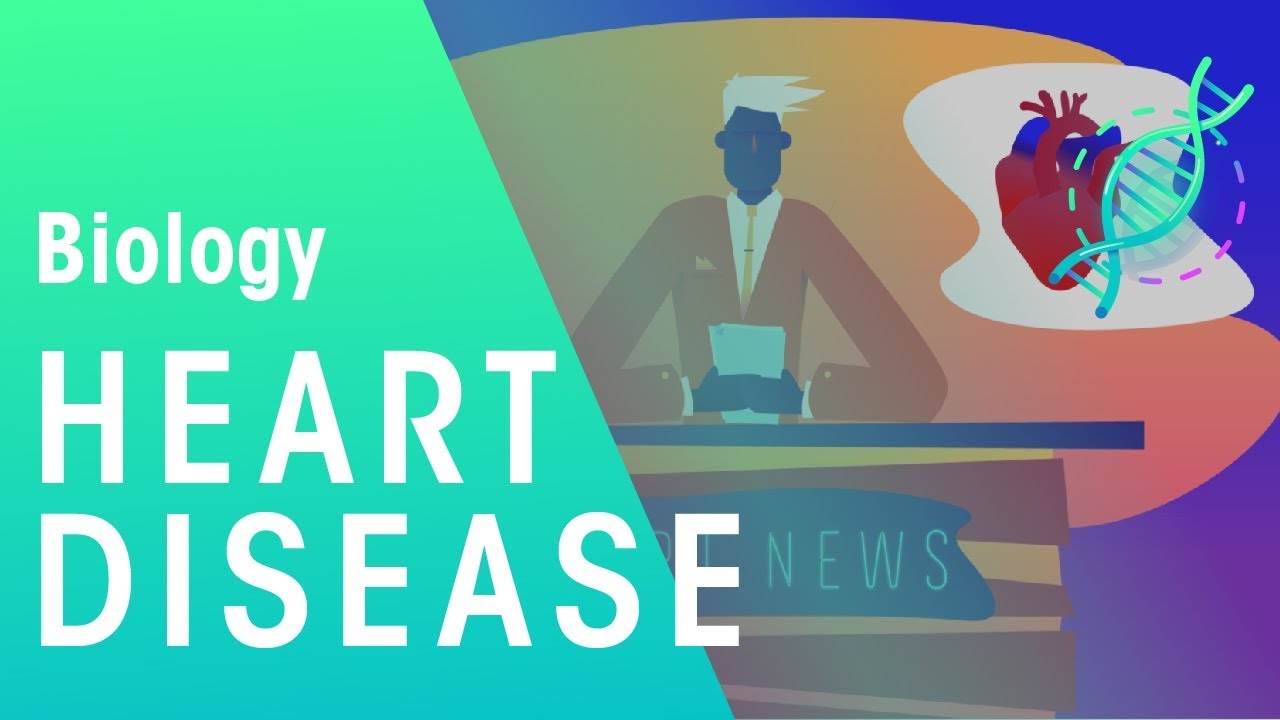 You are currently viewing Heart Disease | Health | Biology | FuseSchool