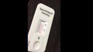 How to check man sperm count for fertility at home