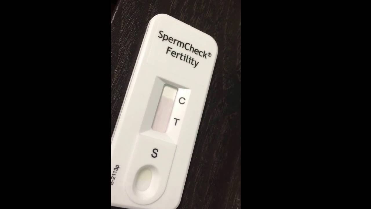 You are currently viewing How to check man sperm count for fertility at home