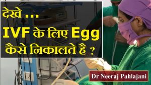 देखे आईवीएफ के लिए एग कैसे निकालते है? IVF Egg Pickup Video | Dr Neeraj Pahlajani
