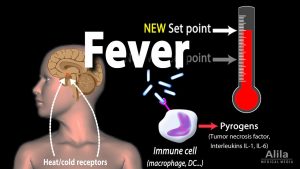 Induction of Fever, Control of Body Temperature, Hyperthermia, Animation.