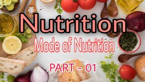 Read more about the article Nutrition Definition | Mode of Nutrition| Class 10th| Science| Life Processes| Part-01