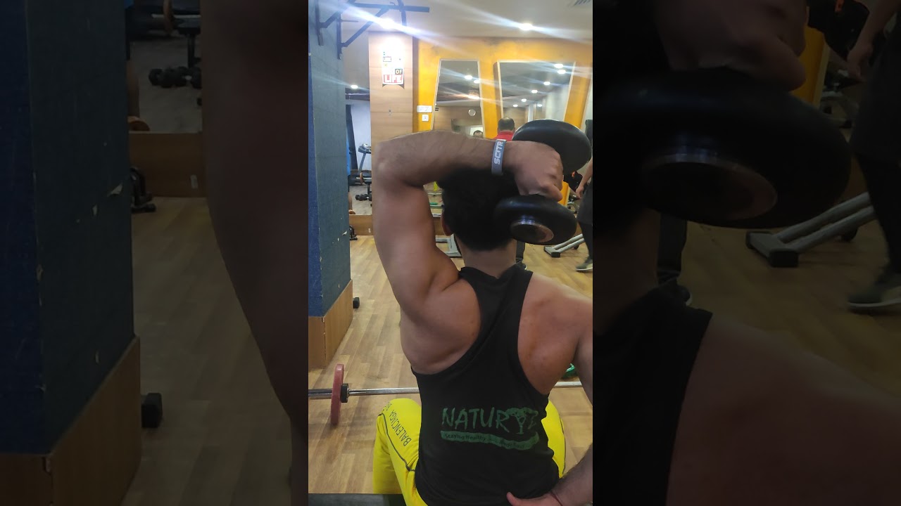 You are currently viewing Overhead Triceps Single Hand Extension | Moderate Weight Is Best Weight #shorts #YoFitnessShorts