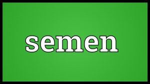 Semen Meaning