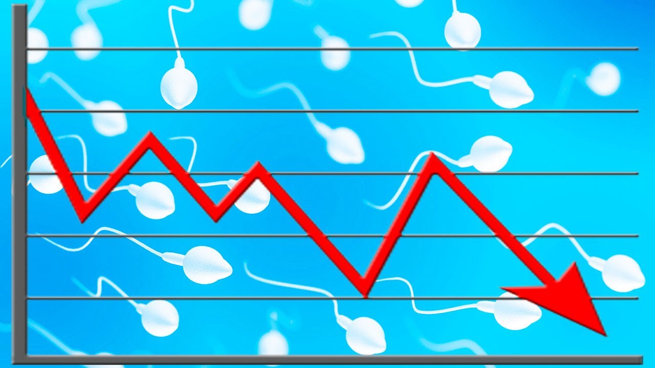 You are currently viewing Sperm Counts Plummeting…But Not Everywhere
