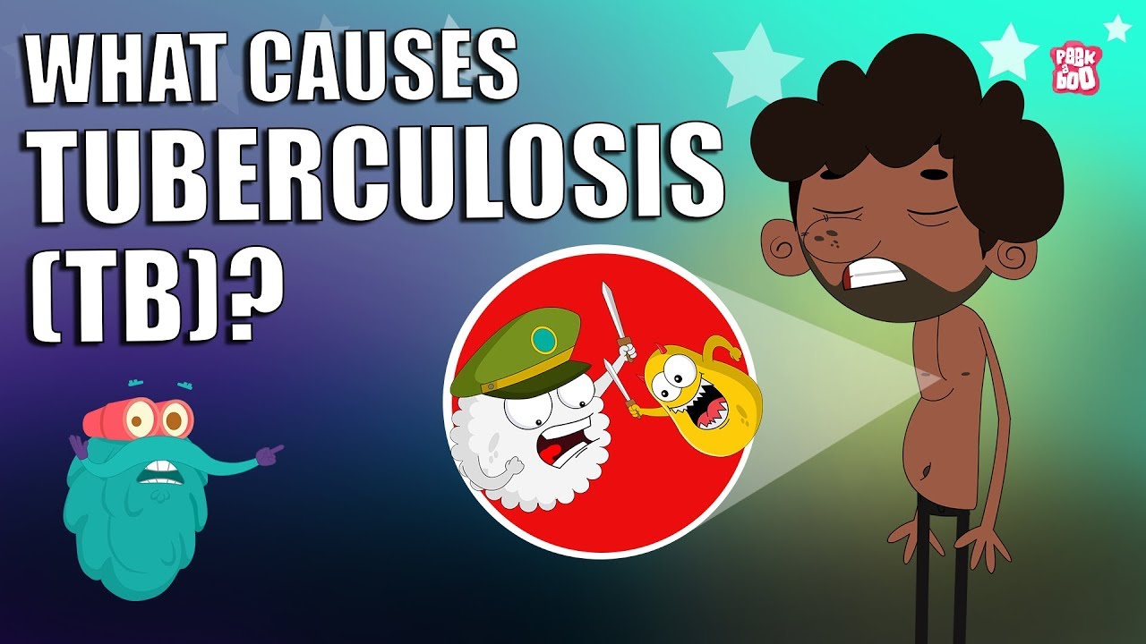 You are currently viewing TUBERCULOSIS | What Is Tuberculosis | TB – Tuberculosis Disease | The Dr Binocs Show | Peekaboo Kidz