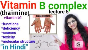 Vitamin B Complex / Vitamin b biochemistry , Deficiency, Sources, Functions / Thaimine /beriberi