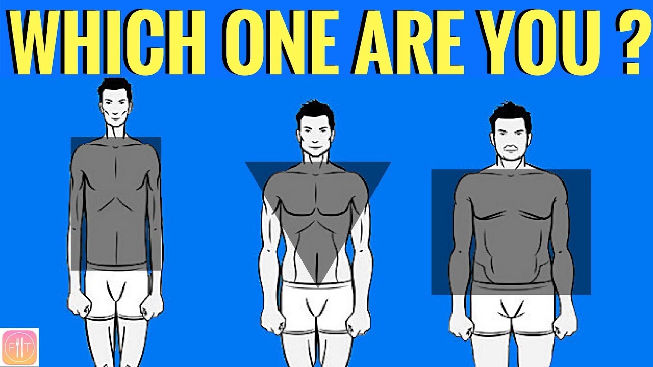 You are currently viewing WHICH BODY TYPE ARE YOU? How to Train & Eat for YOUR body type?