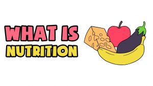 What is Nutrition | Explained in 2 min