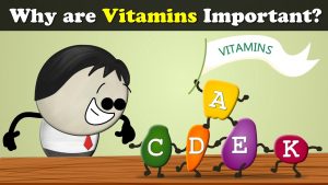 Why are Vitamins Important? + more videos | #aumsum #kids #science #education #children