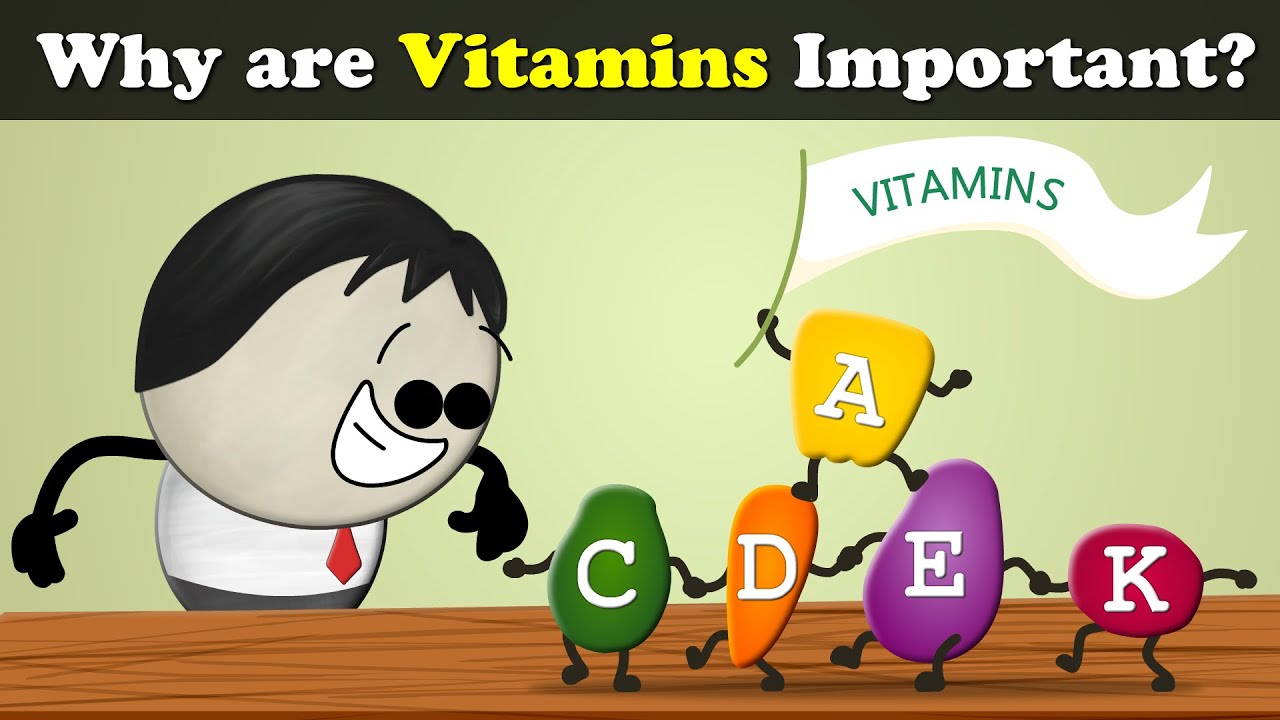 You are currently viewing Why are Vitamins Important? + more videos | #aumsum #kids #science #education #children