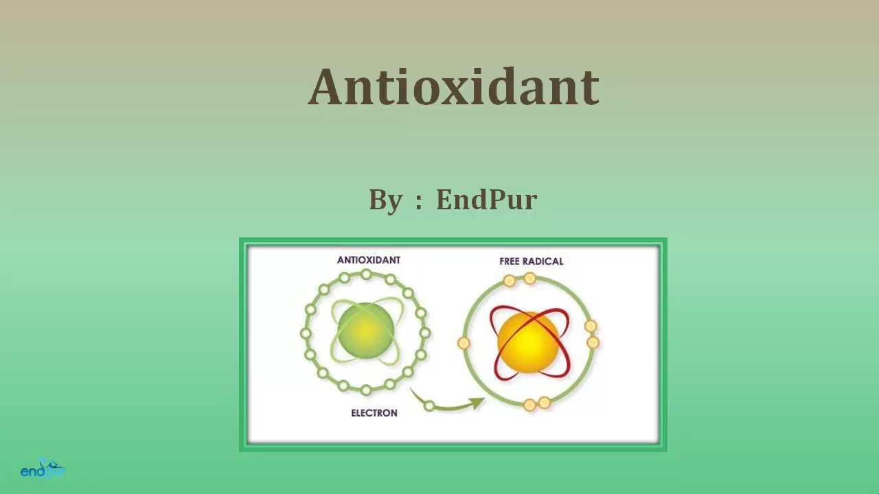 Antioxidant – Antioxidant Foods