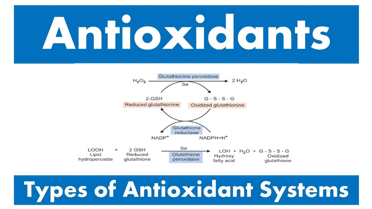 Antioxidants and Types of antioxidant systems